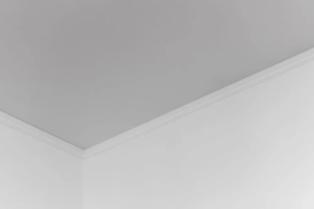 MHR Renovation faux plafond (2)